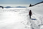 56 Belli i cerchi concentrici della pozza delle Baite d'Alben